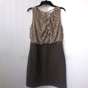 women's dress